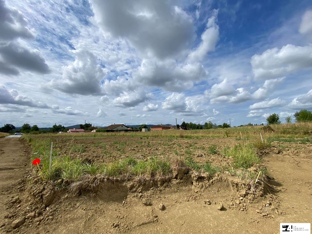 Terrain à Palaminy